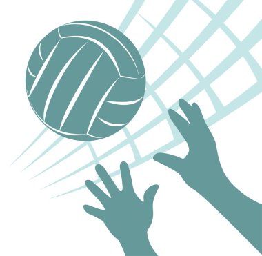 Voleybol