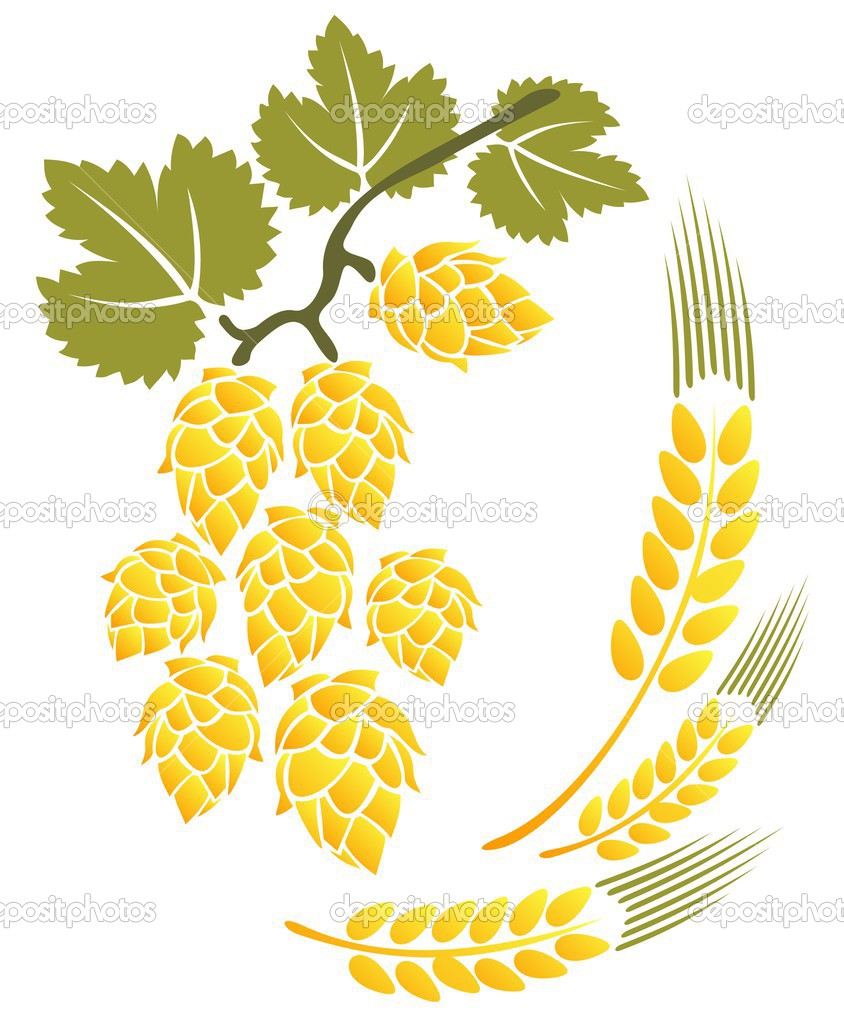 hop and wheat