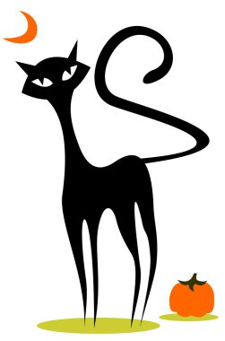 Cadılar Bayramı kedi