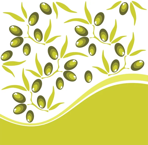 Olive background — Stock Photo, Image