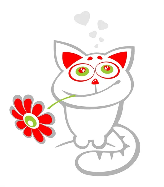 Kat en bloem — Stockfoto