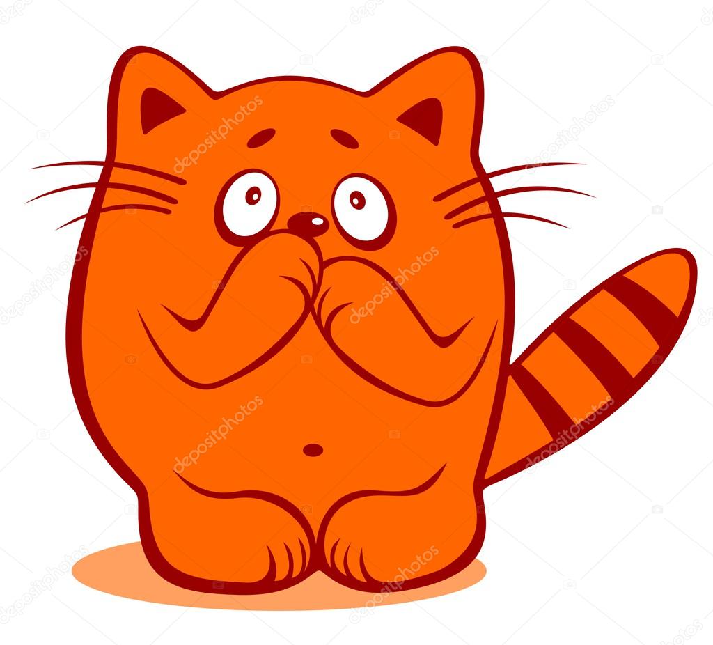 Chat Timide Photographie Tokhiti C Chat Timide Photographie Tokhiti C