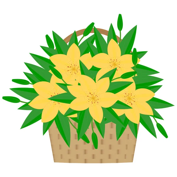 Lilies in a basket — Stock Vector