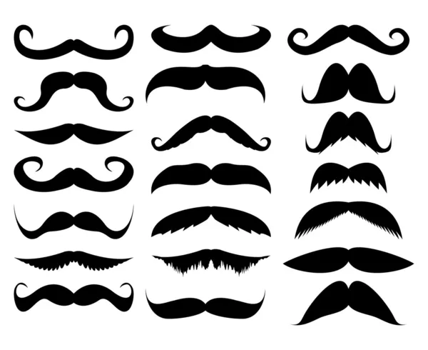 Mustache — Stock Vector