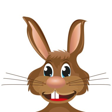 beyaz zemin üzerinde tavşan yakın çekim