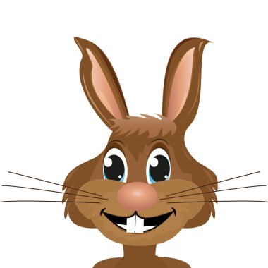 beyaz zemin üzerinde tavşan yakın çekim