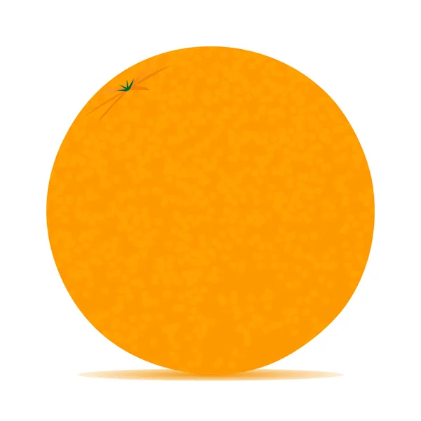 Апельсин на белом фоне — стоковый вектор