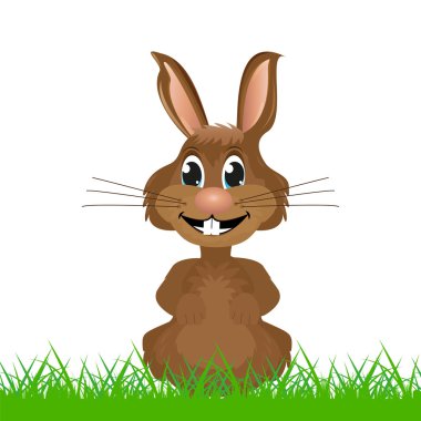 Çimenlikteki tavşan