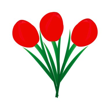 Üç Lale