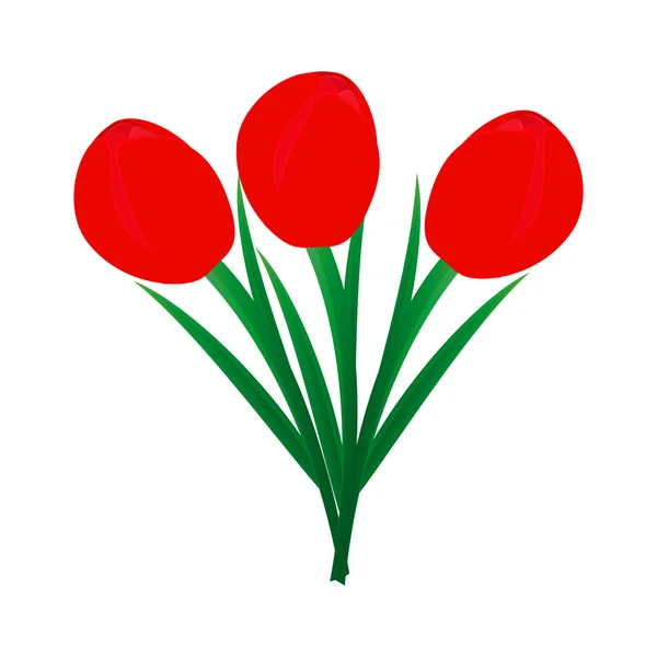 Trois tulipes — Image vectorielle