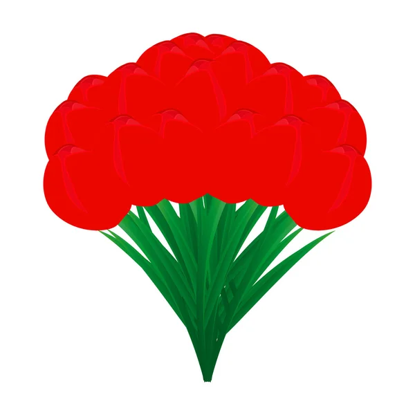 Bouquet de tulipes rouges — Image vectorielle