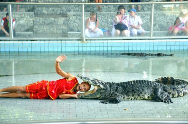 Tayland timsah gösterisi