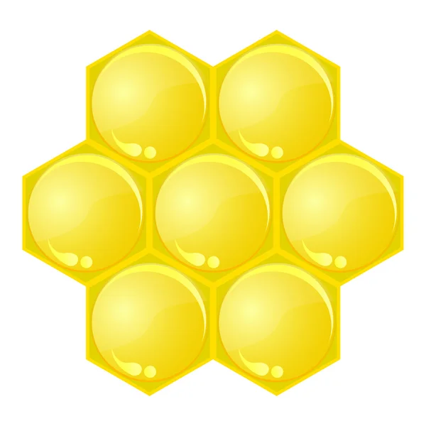 Honey comb — Stock Vector