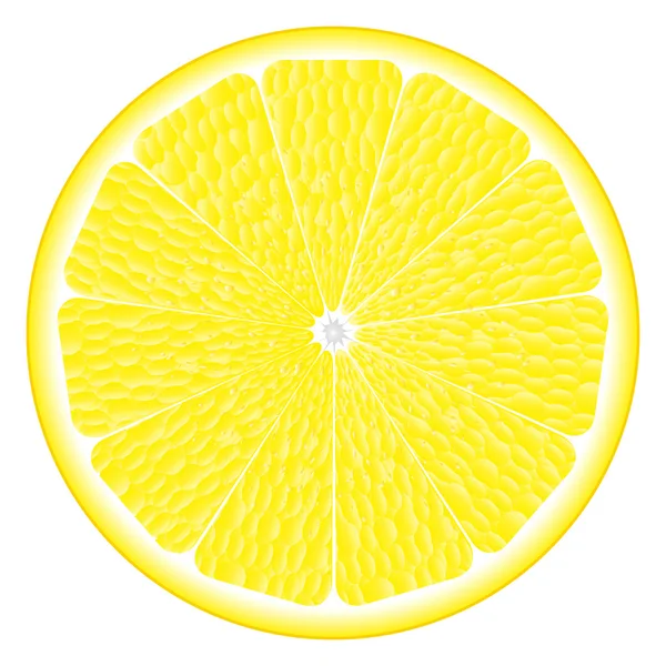 Большой круг лимона — стоковый вектор