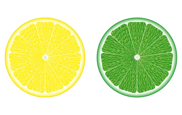 Chaux et citron — Image vectorielle