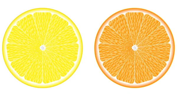 Sinaasappel en citroen — Stockvector