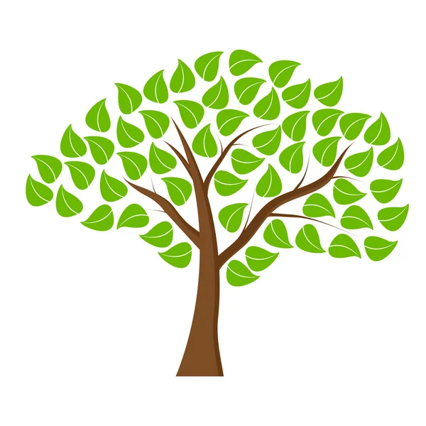 Árbol con hojas verdes — Vector de stock