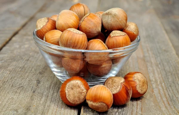Filbert nötter — Stockfoto
