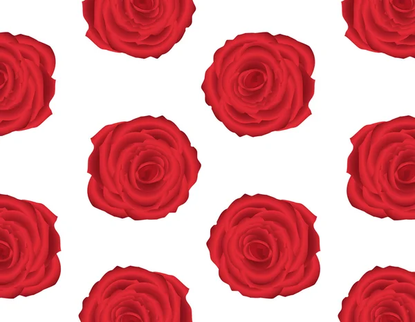 빨간 장미와 벽지 패턴 — 스톡 벡터