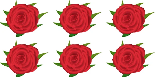 Wallpaper pattern with of red roses on white background — Stock Vector