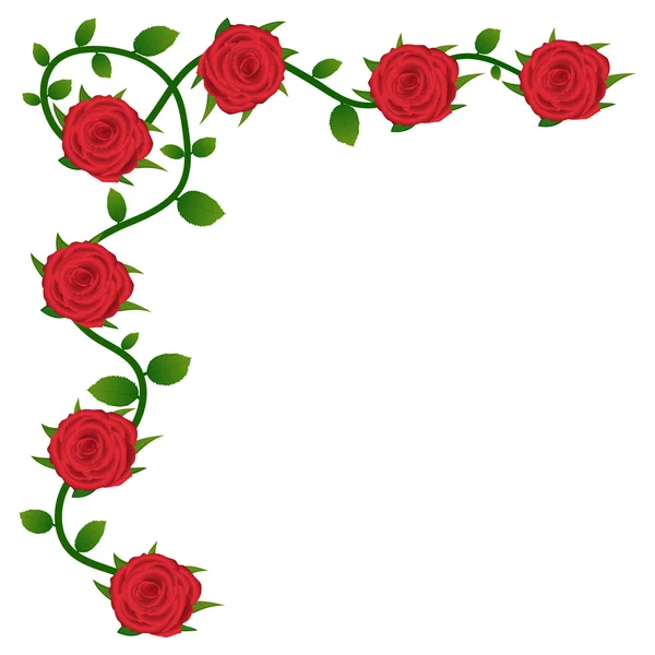 Röda rosor bakgrund för gratulationskort — Stock vektor