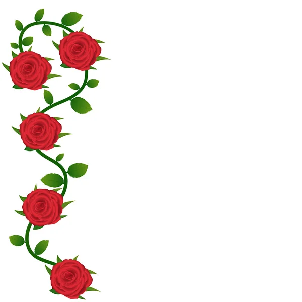 Rose rosse sfondo per biglietto di auguri — Vettoriale Stock