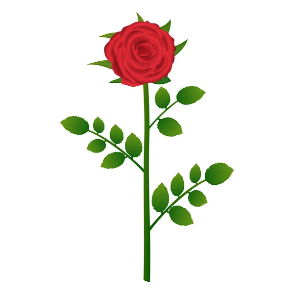 Червона троянда — стоковий вектор