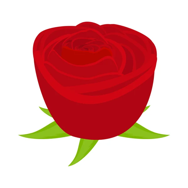 Rosa roja — Vector de stock