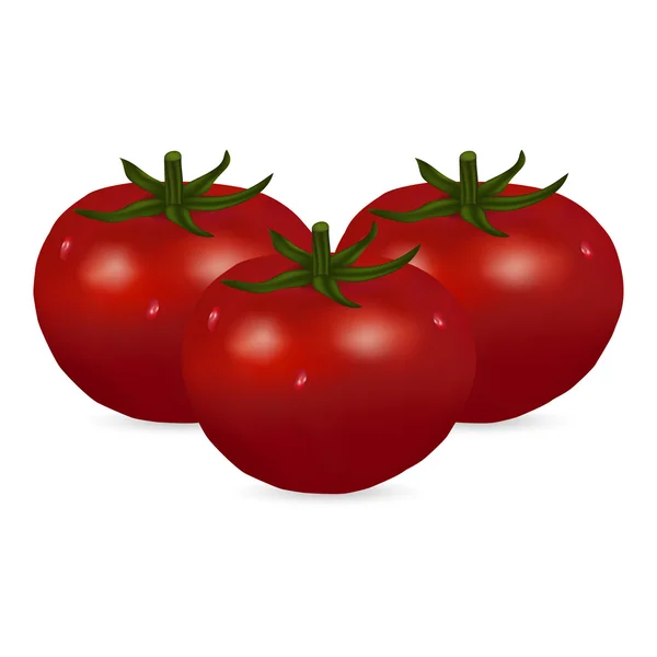 Três tomate — Vetor de Stock