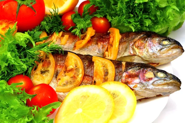 Grilled trout with fresh herbs — Stock Photo, Image