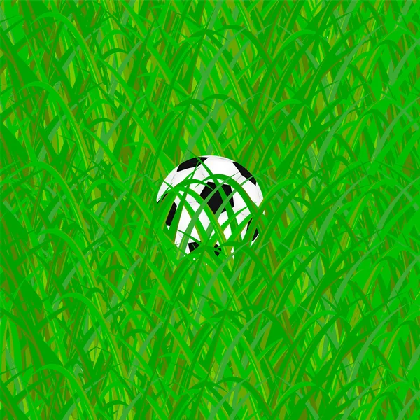 Voetbal in gras — Stockvector