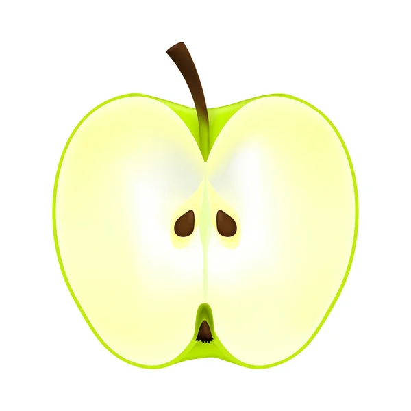 De helft van een appel op een witte achtergrond — Stockvector