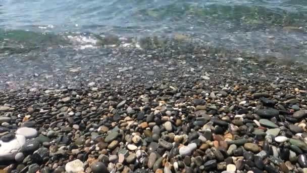 Черноморское побережье с галечным пляжем — стоковое видео