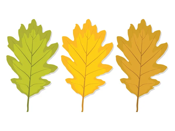 Trois feuilles de chêne multicolores — Image vectorielle