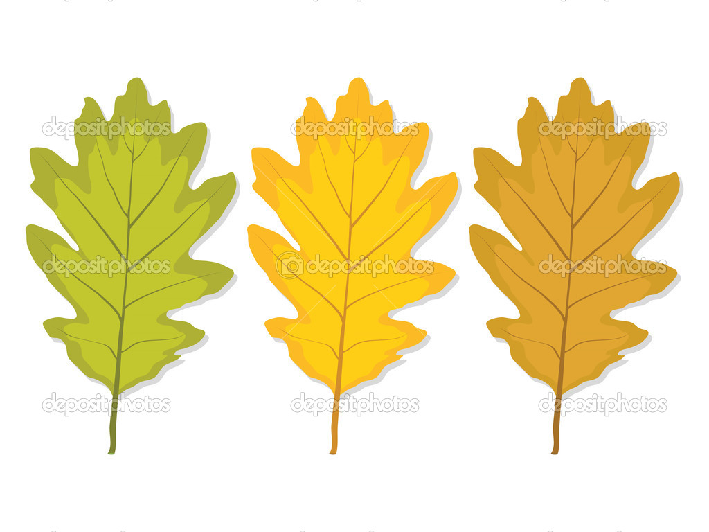Three multi-colored oak leaf