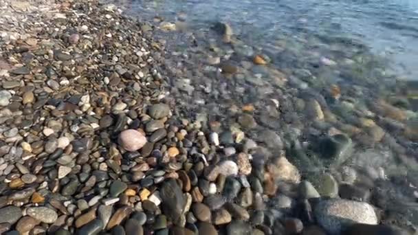 Černé moře pobřeží s oblázkovou pláží — Stock video