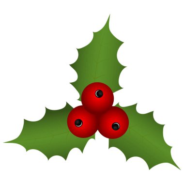 Beyaz arka planda Noel çiçekleri 