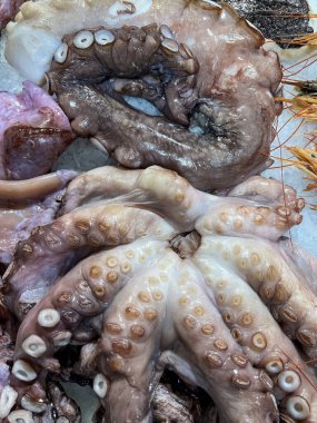 Ahtapot dokunaçları süpermarket tezgahında sergileniyor 