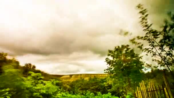 Tijd lapse rural zomer blik — Stockvideo