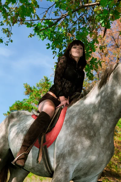 Beautiful girl on horse background — Stock Photo, Image