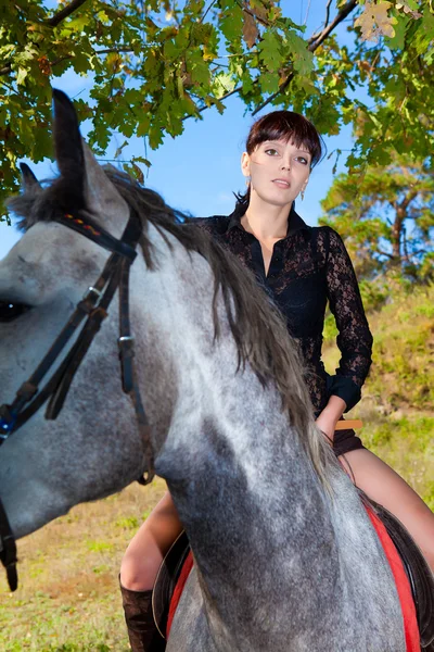 Menina bonita no cavalo no fundo da floresta — Fotografia de Stock