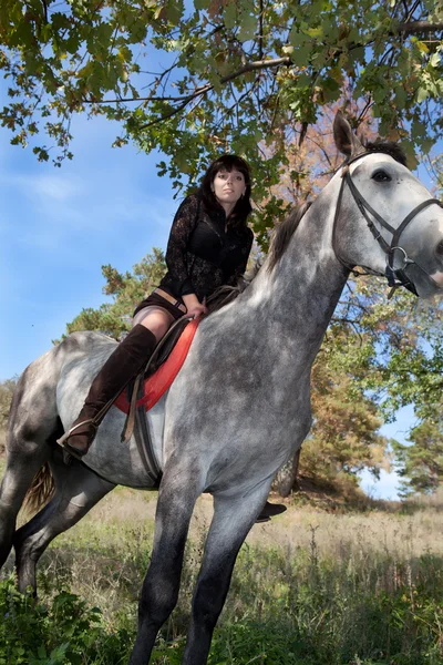Όμορφο κορίτσι με το άλογο στο φόντο του δάσους καλοκαίρι — Φωτογραφία Αρχείου