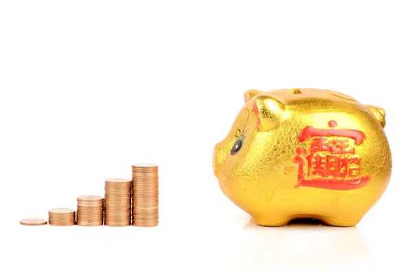 Piggy bank and coin — Stock Photo, Image