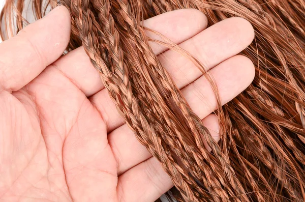 Brown wig — Stock Photo, Image