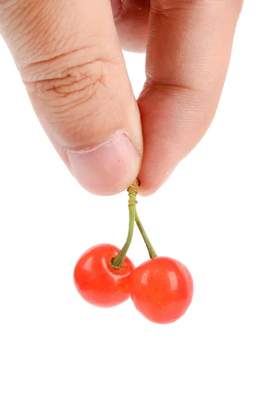 Cherry — Stock Photo, Image