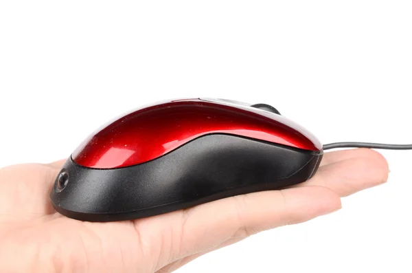 Mouse in hand — Stock Photo, Image