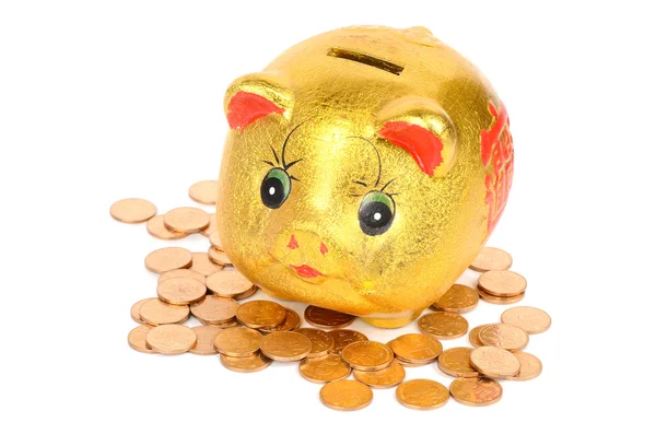 Piggy bank and coin — Stock Photo, Image