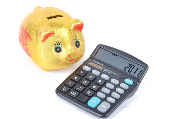 Свинячий банк і калькулятор — стокове фото