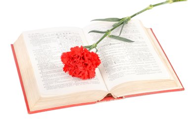 karanfil ve kitap