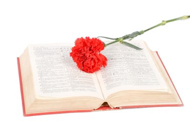 karanfil ve kitap